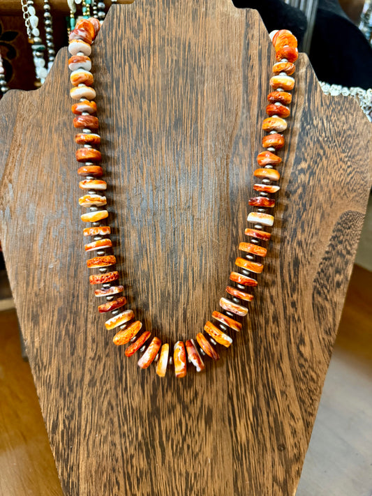 Orange spiny statement -19in + 2in ext